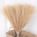 Faux Pampas Grass Bouquet – Fluffy Artificial Pampas for Vase & Boho Decor